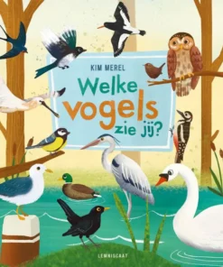 Welke vogels zie jij?