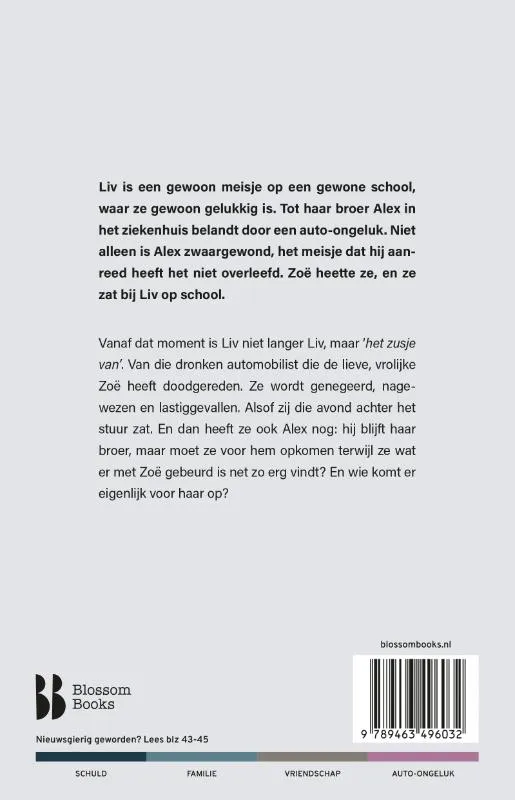 Het zusje van | 9789463496032 Het zusje van - Afbeelding 2