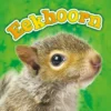 Eekhoorn | 9789463412872