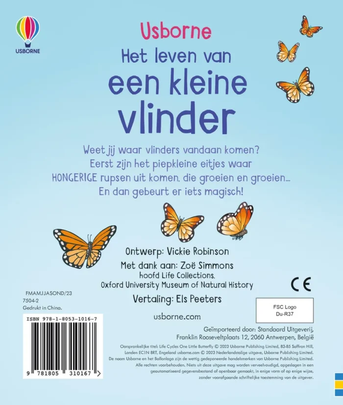 Een kleine vlinder - Afbeelding 2