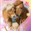 Penny Vriendenboek | 9789089223548