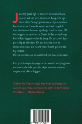 Alternative view of Onder de brug