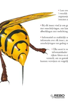 Alternative view of Insecten