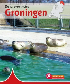 Groningen