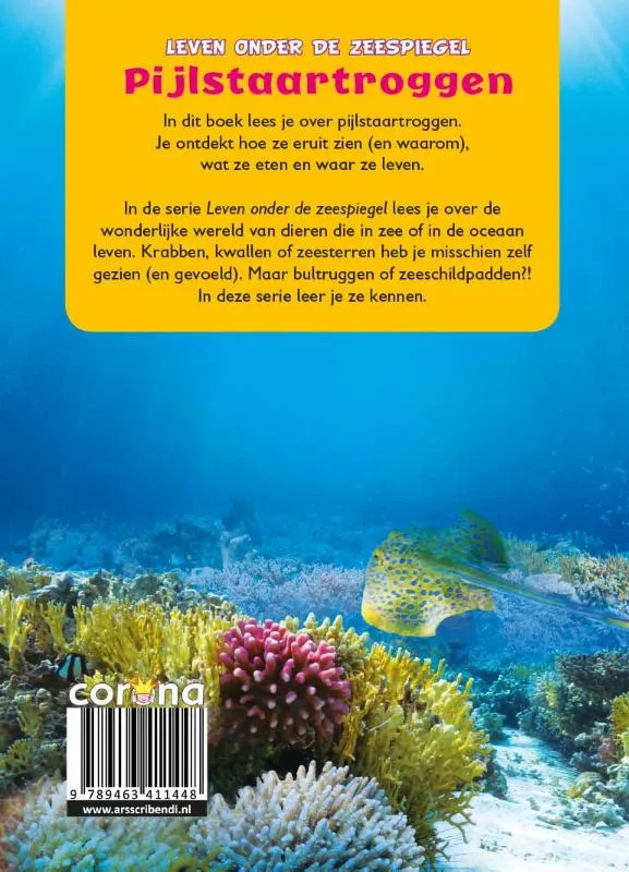 Pijlstaartroggen | 9789463411448 Pijlstaartroggen - Afbeelding 2