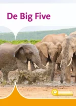 De Big Five | 9789464392166