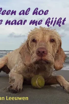 Alleen al hoe je naar me kijkt