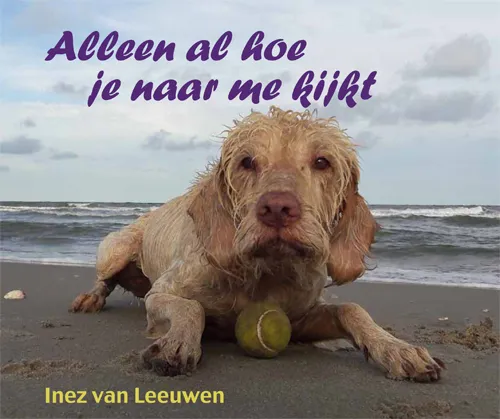 Rapunsel kinderboeken |