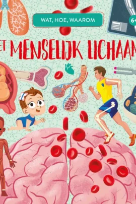 Het menselijk lichaam