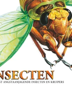 Insecten