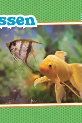 Vissen