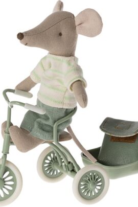 Grote broer muis | 5707304134305