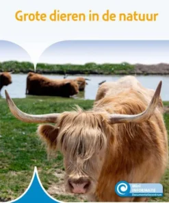 Grote dieren in de natuur