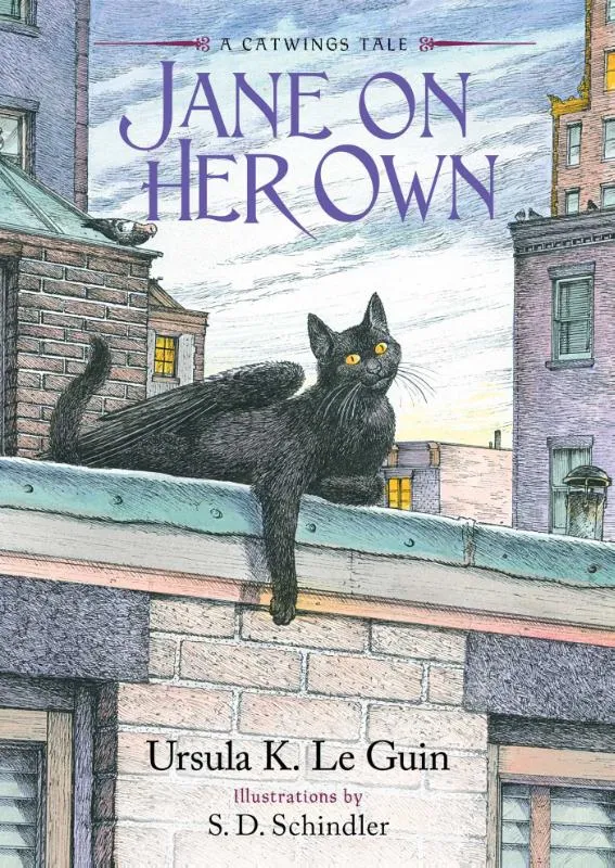 Jane on Her Own | 9781665936682 Jane on Her Own