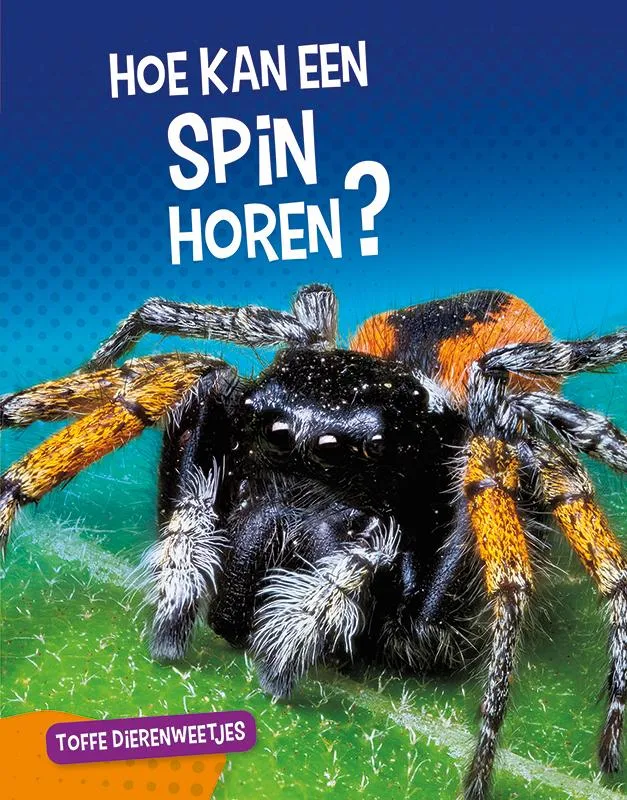 Hoe kan een spin horen? | 9789086647309 Hoe kan een spin horen?