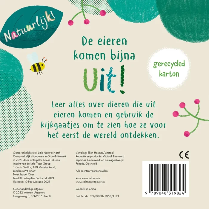 Uit een ei - Afbeelding 2