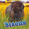 Bizons | 9789086648870 Bizons | 9789086648870