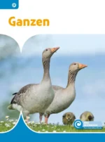 Ganzen | 9789043939409