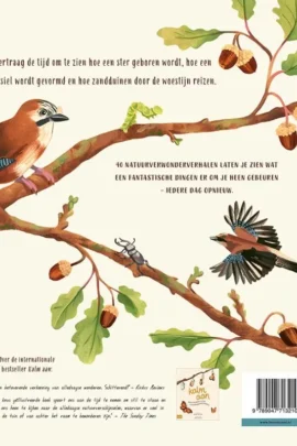 Alternative view of Kalm aan ... en kijk om je heen