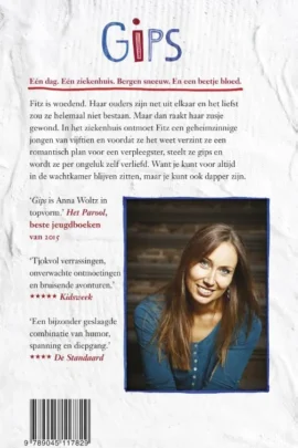 Alternative view of Gips