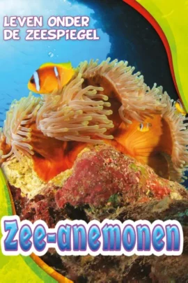 Zee-anemonen