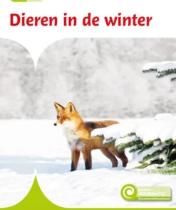 Dieren in de winter