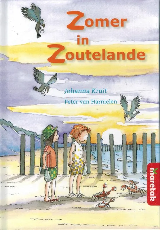 Zomer in Zoutelande | 9789043704908 Zomer in Zoutelande