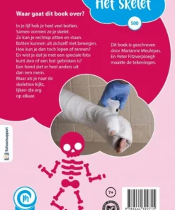 Alternative view of Het skelet