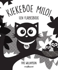 een doorkijkboekje