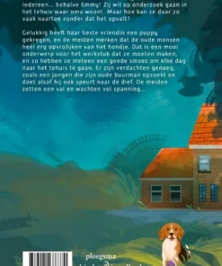 Alternative view of Het raadsel van de verdwenen ring