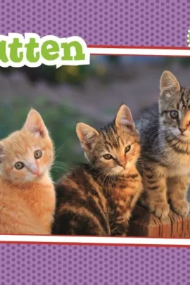 Katten