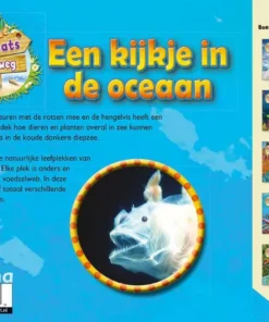 Alternative view of Een kijkje in de oceaan