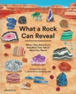 What a Rock Can Reveal | 9781838667917