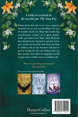 Alternative view of De duistere fae