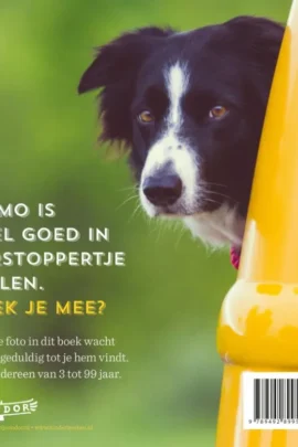 Alternative view of Zoek Momo