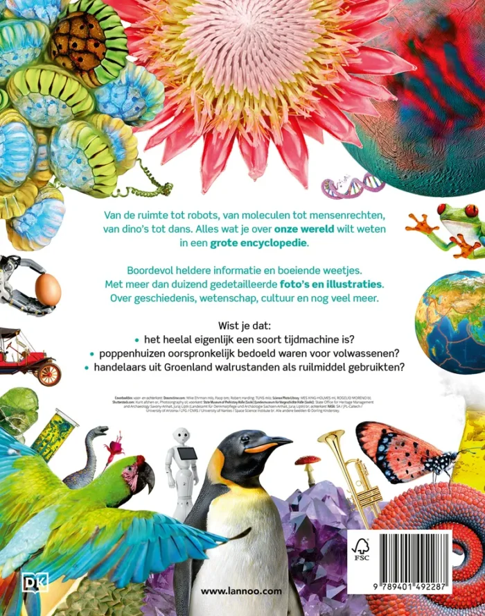 Onze wereld in beeld - Afbeelding 2