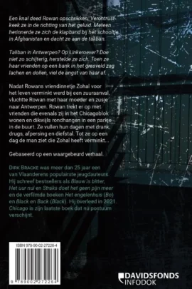 Alternative view of Chicago