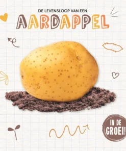 Aardappel