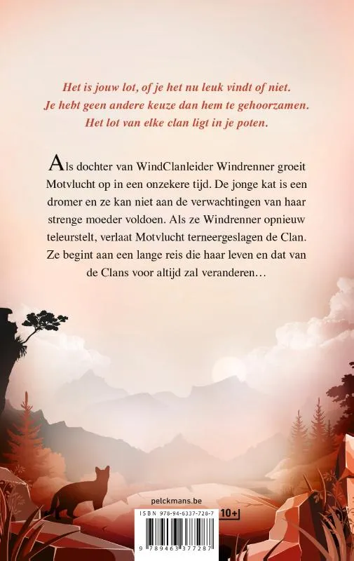 Motvluchts visioen | 9789463377287 Motvluchts visioen - Afbeelding 2