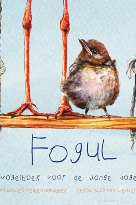 Fogul