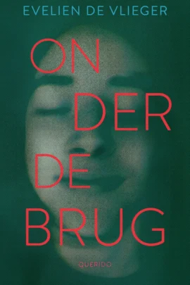 Onder de brug