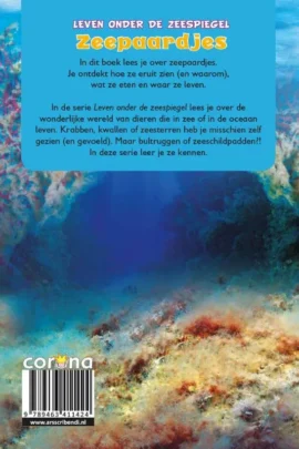 Alternative view of Zeepaardjes