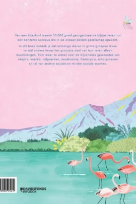 Alternative view of Een tegen allen