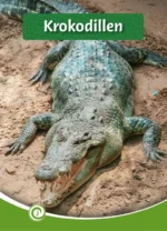 Krokodillen | 9789464391978