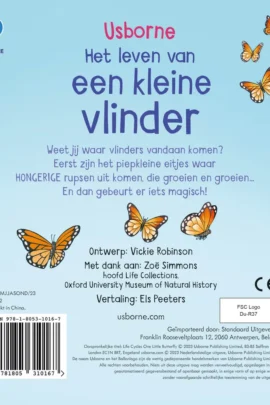 Alternative view of Een kleine vlinder