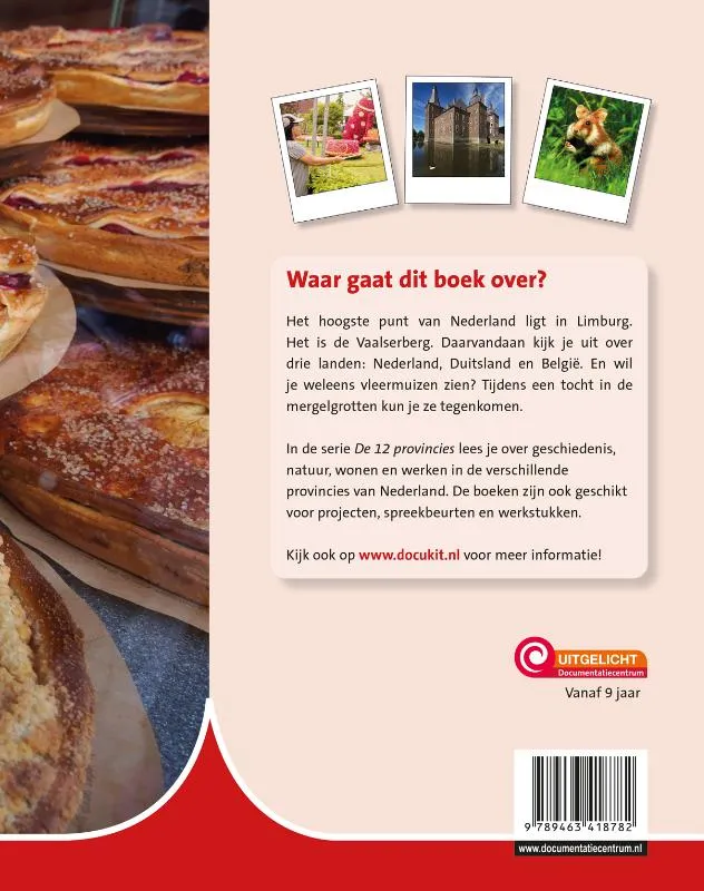 Limburg | 9789463418782 Limburg - Afbeelding 2