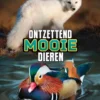 Ontzettend mooie dieren | 9789464392999 Ontzettend mooie dieren | 9789464392999