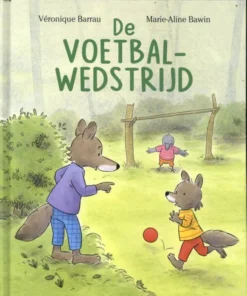 De voetbalwedstrijd
