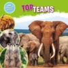 Topteams | 9789464391985 Topteams | 9789464391985