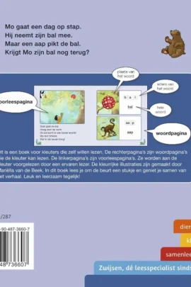 Alternative view of De bal van Mo